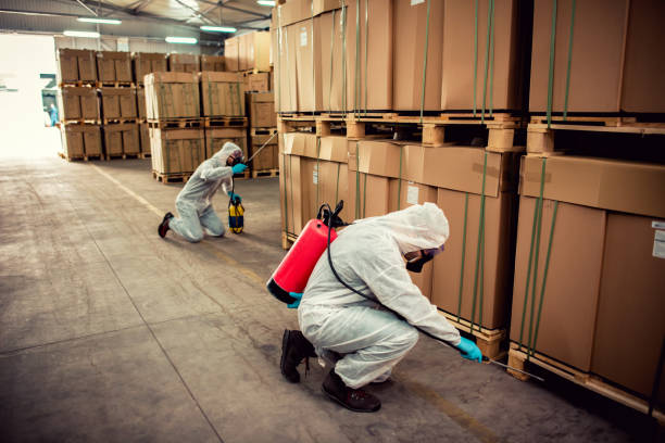 Best Commercial Pest Control Services  in Kingsville, TX
