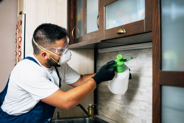 Best Affordable Pest Control Services  in Kingsville, TX