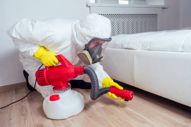 Reliable Kingsville, TX Pest Control Solutions