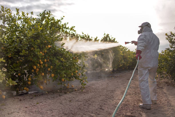 Best Emergency Pest Control  in Kingsville, TX