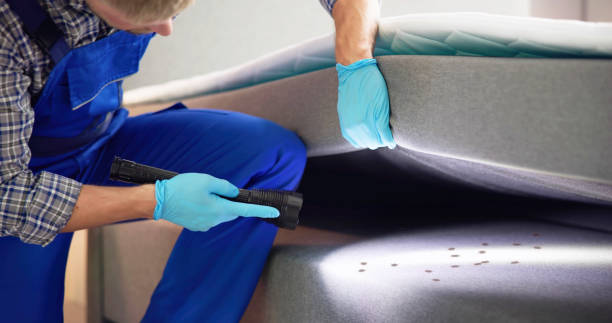 Best Affordable Pest Control Services  in Kingsville, TX