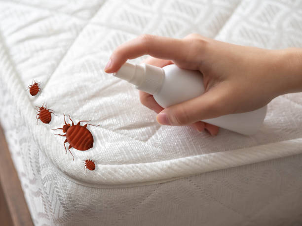 Best Exterminator Services  in Kingsville, TX