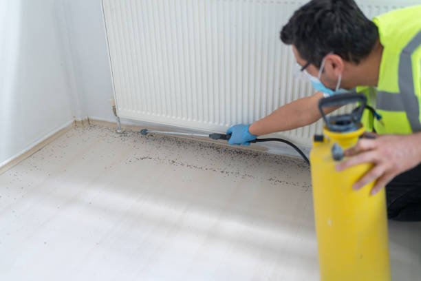 Best Mosquito Control Services  in Kingsville, TX