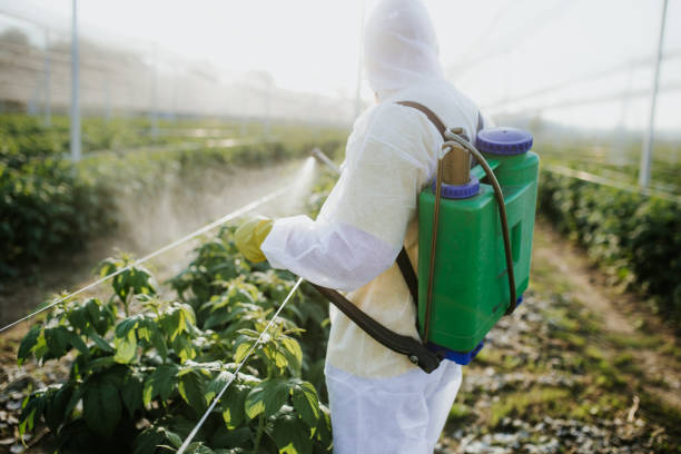 Best Best Pest Control Companies  in Kingsville, TX